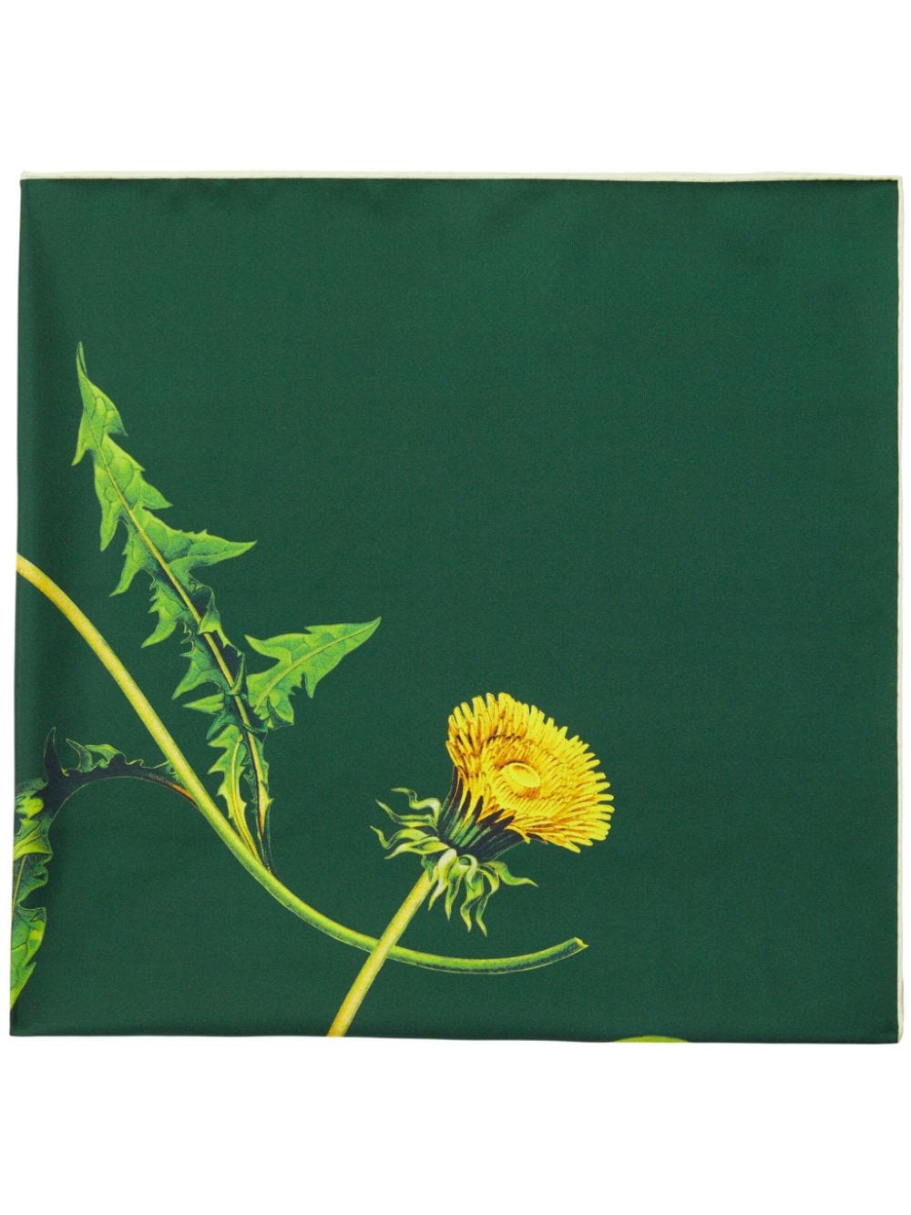 Burberry Sjaal met bloemenprint - Groen