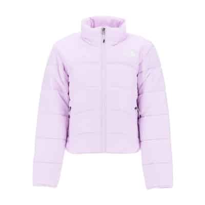 Elements Korte Puffer Jas The North Face , Purple , Dames